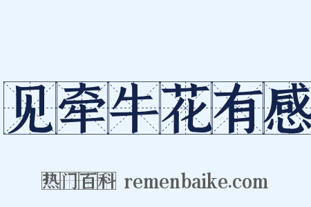 见牵牛花有感是什么意思的图片